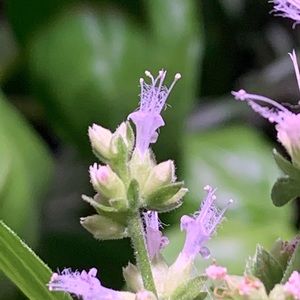 Meet your Posher, Andi